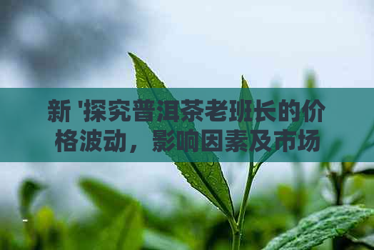 新 '探究普洱茶老班长的价格波动，影响因素及市场趋势'