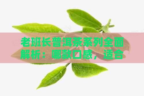 老班长普洱茶系列全面解析：哪款口感，适合什么场合，如何品鉴？