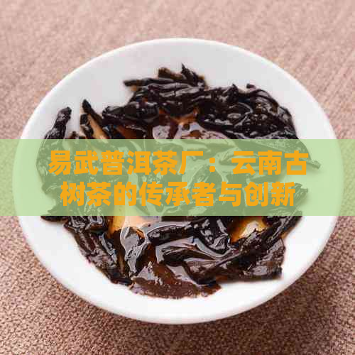 易武普洱茶厂：云南古树茶的传承者与创新者