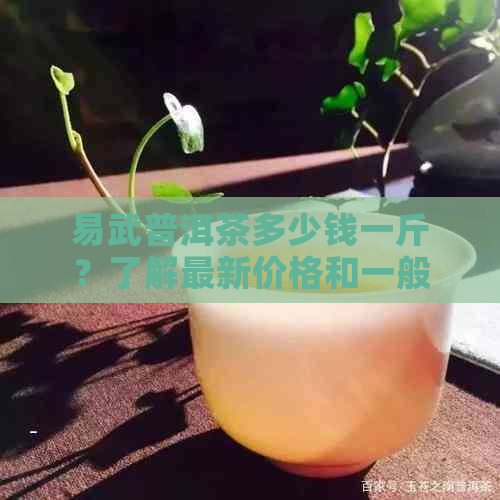 易武普洱茶多少钱一斤？了解最新价格和一般市场行情！