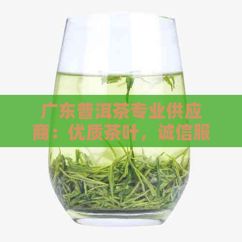 广东普洱茶专业供应商：优质茶叶，诚信服务，送礼佳品