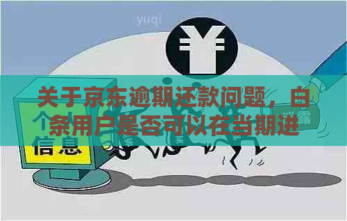 关于京东逾期还款问题，白条用户是否可以在当期进行全款处理？