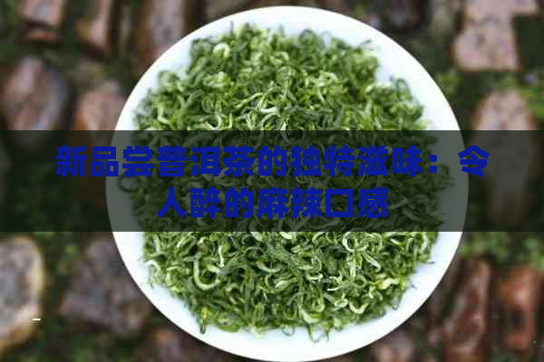 新品尝普洱茶的独特滋味：令人醉的麻辣口感