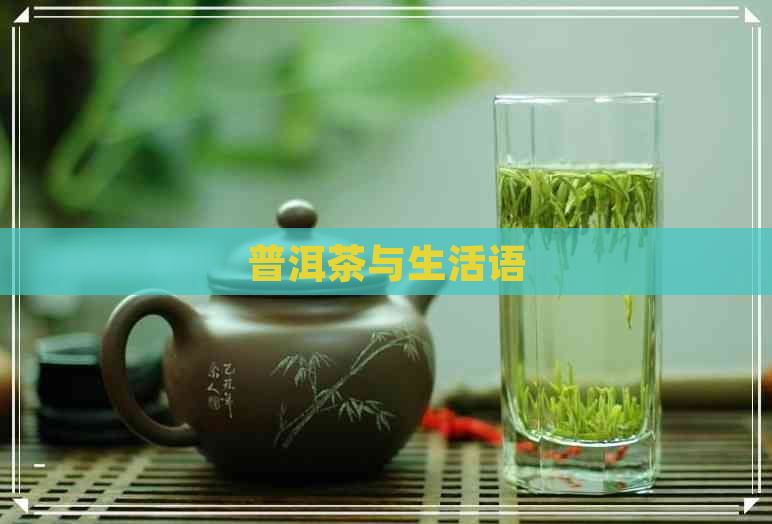 普洱茶与生活语