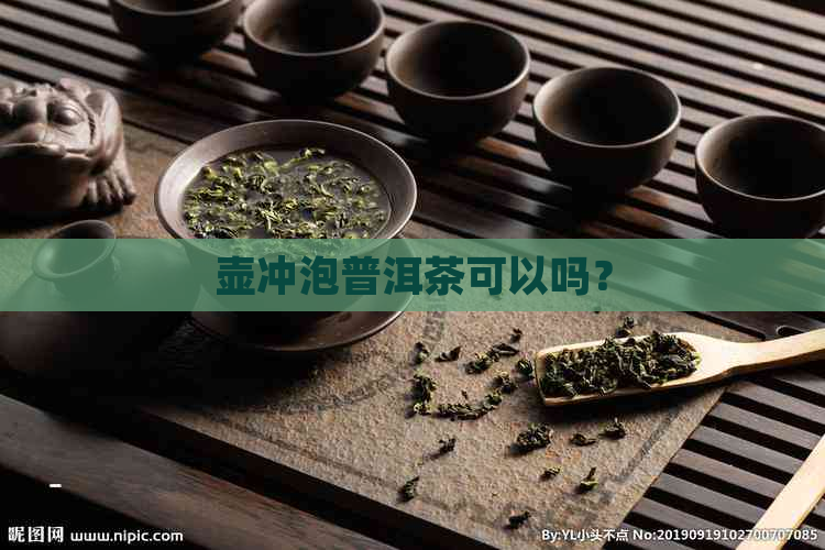 壶冲泡普洱茶可以吗？