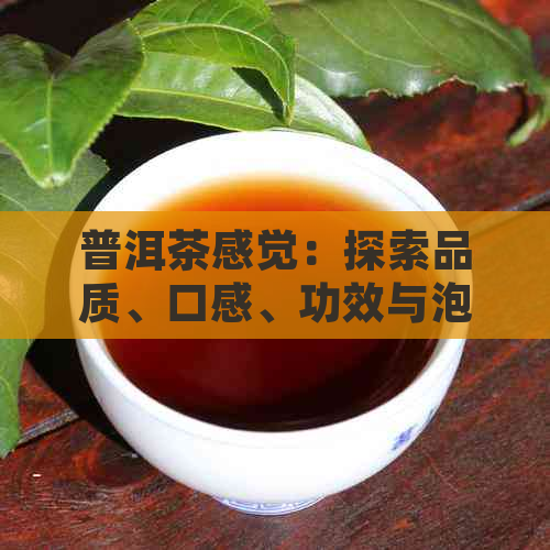 普洱茶感觉：探索品质、口感、功效与泡法的全方位解析