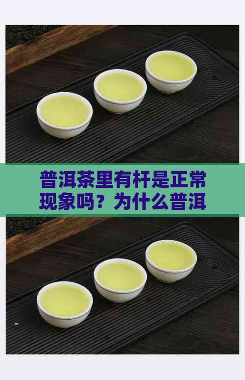 普洱茶里有杆是正常现象吗？为什么普洱茶会有茶杆？普洱茶里的小棍是什么？