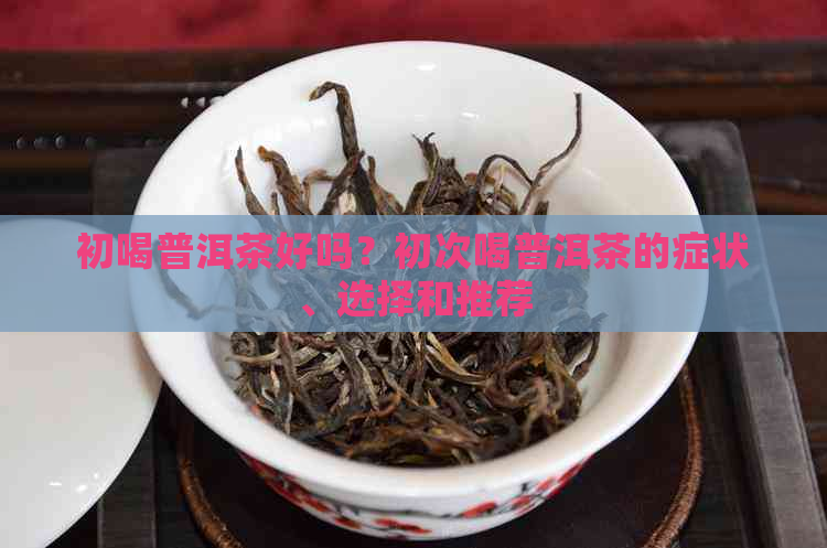 初喝普洱茶好吗？初次喝普洱茶的症状、选择和推荐