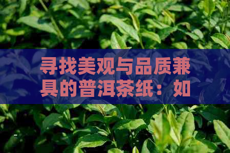 寻找美观与品质兼具的普洱茶纸：如何挑选与使用？