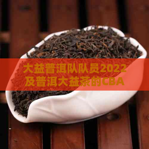 大益普洱队队员2022及普洱大益茶的CBA表现