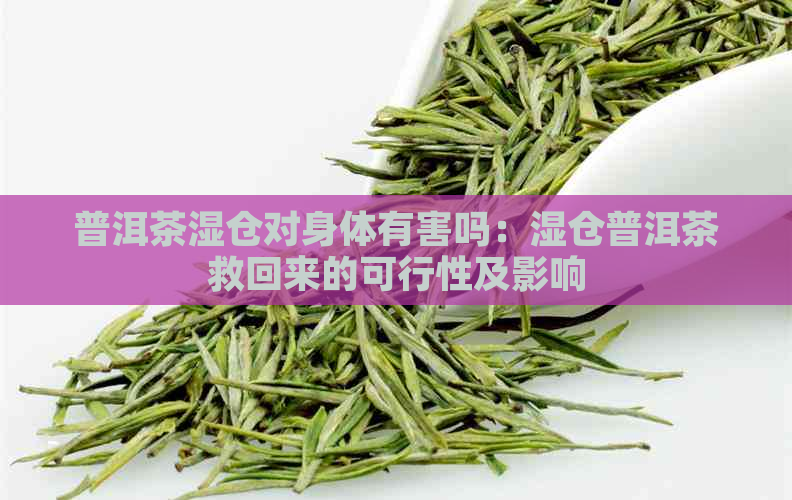 普洱茶湿仓对身体有害吗：湿仓普洱茶救回来的可行性及影响