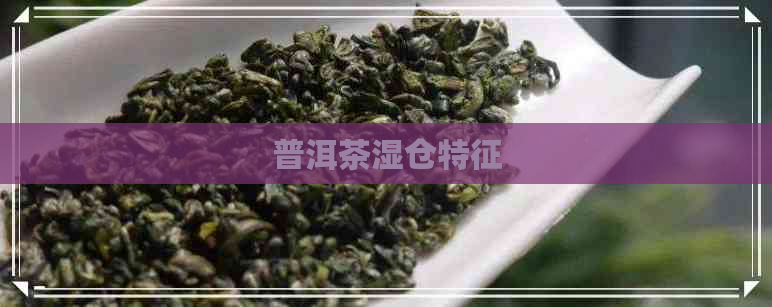 普洱茶湿仓特征