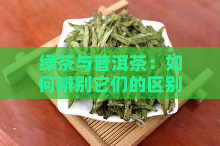 绿茶与普洱茶：如何辨别它们的区别？特点、品质及冲泡方法全面解析