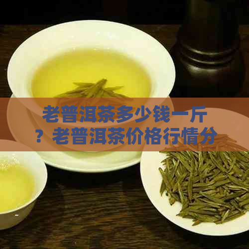 老普洱茶多少钱一斤？老普洱茶价格行情分析。