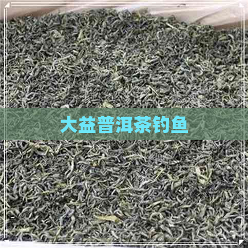 大益普洱茶钓鱼