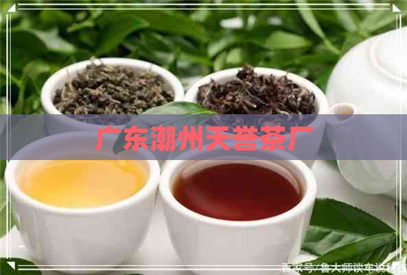 广东潮州天誉茶厂