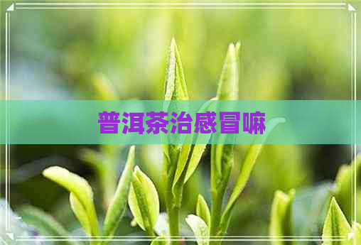 普洱茶治感冒嘛