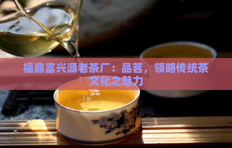 福鼎富兴源老茶厂：品茗，领略传统茶文化之魅力