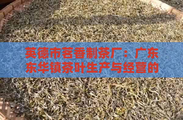 英德市茗香制茶厂：广东东华镇茶叶生产与经营的企业信息