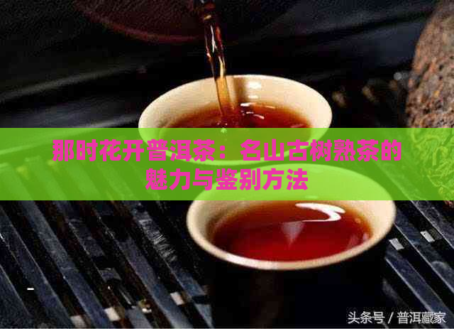 那时花开普洱茶：名山古树熟茶的魅力与鉴别方法