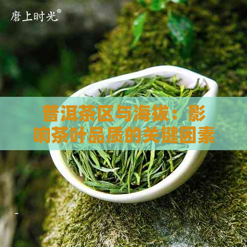 普洱茶区与海拔：影响茶叶品质的关键因素