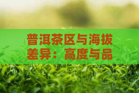 普洱茶区与海拔差异：高度与品质关系的解析