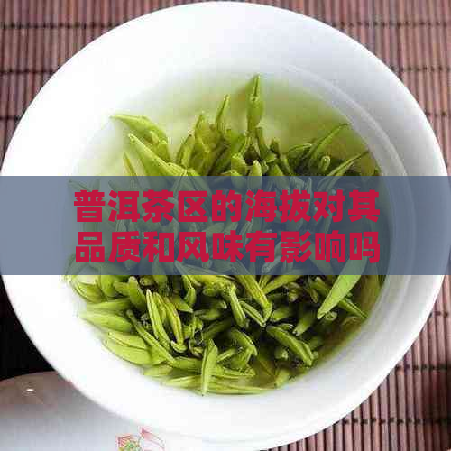 普洱茶区的海拔对其品质和风味有影响吗？