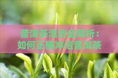 普洱茶泡法全解析：如何正确冲泡普洱茶以获得口感？