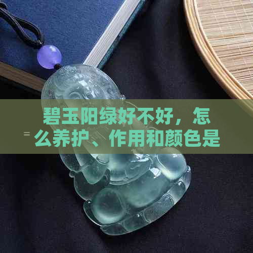 碧玉阳绿好不好，怎么养护、作用和颜色是什么？