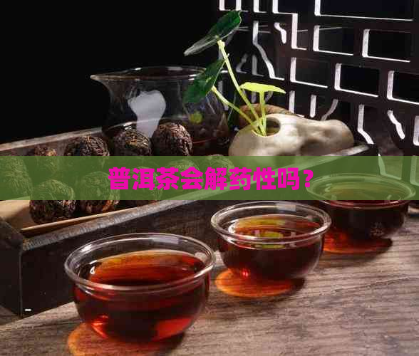 普洱茶会解药性吗？