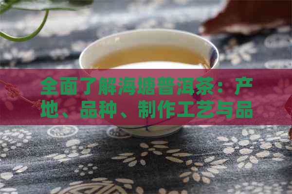 全面了解海塘普洱茶：产地、品种、制作工艺与品鉴方法的深度解析