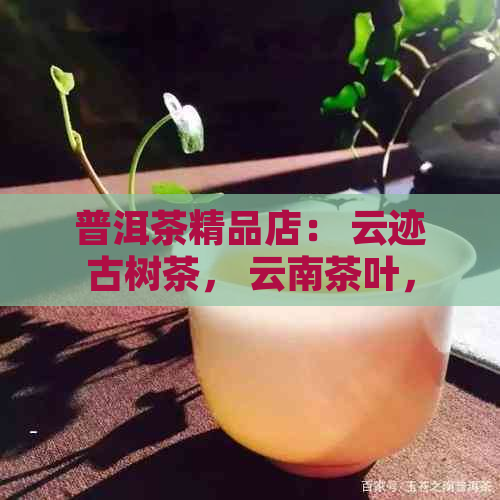 普洱茶精品店： 云迹古树茶， 云南茶叶， 茶艺体验， 品茗会， 茶文化