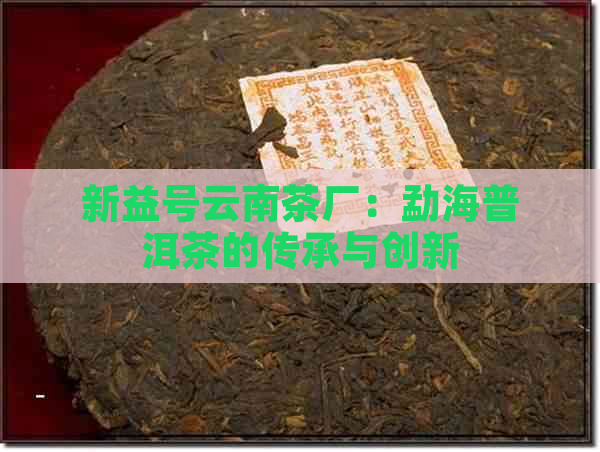 新益号云南茶厂：勐海普洱茶的传承与创新