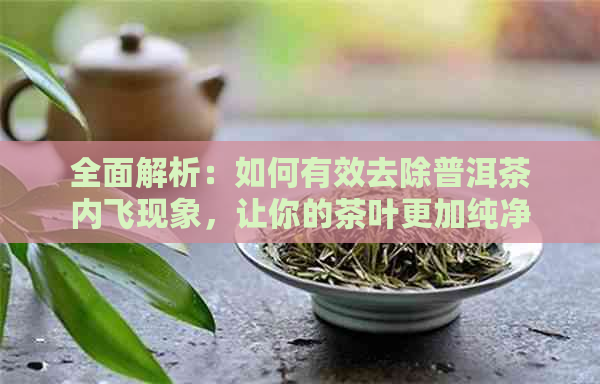 全面解析：如何有效去除普洱茶内飞现象，让你的茶叶更加纯净可口