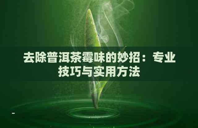 去除普洱茶霉味的妙招：专业技巧与实用方法