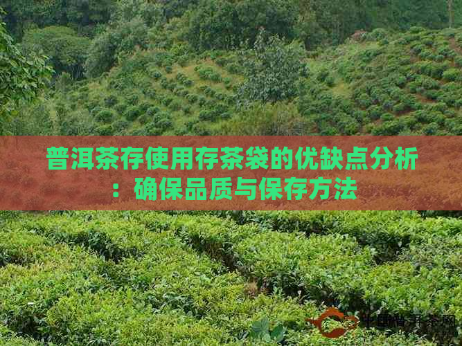 普洱茶存使用存茶袋的优缺点分析：确保品质与保存方法