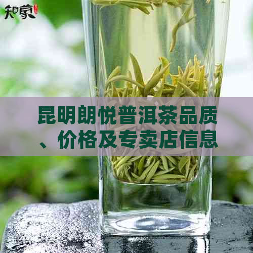 昆明朗悦普洱茶品质、价格及专卖店信息全解析