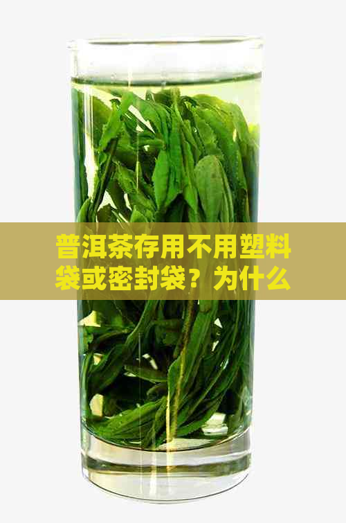 普洱茶存用不用塑料袋或密封袋？为什么？