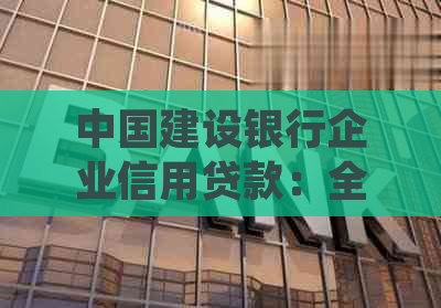 中国建设银行企业信用贷款：全方位解决方案与高效融资体验