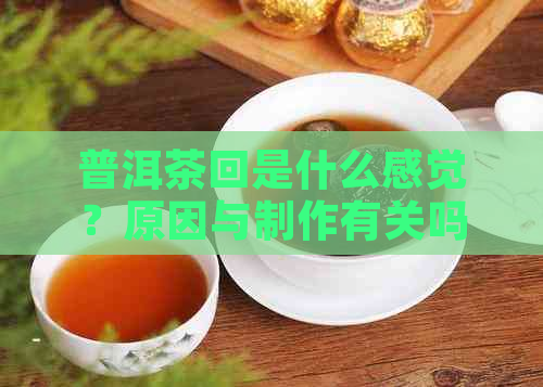 普洱茶回是什么感觉？原因与制作有关吗？熟茶的回特点如何？