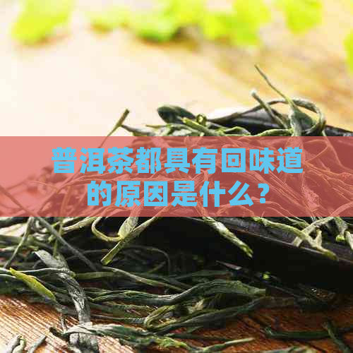 普洱茶都具有回味道的原因是什么？