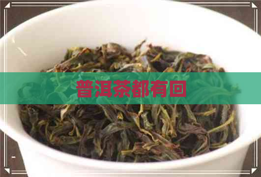 普洱茶都有回