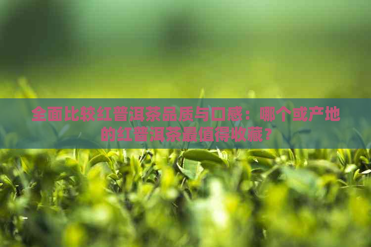 全面比较红普洱茶品质与口感：哪个或产地的红普洱茶最值得收藏？