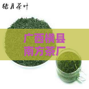 广西横县南方茶厂：获取详细联系方式的便捷途径