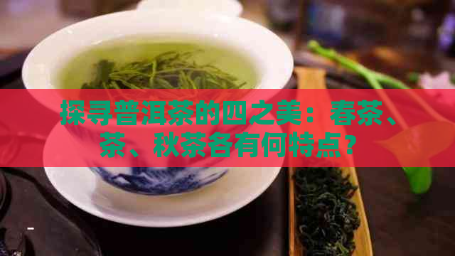 探寻普洱茶的四之美：春茶、茶、秋茶各有何特点？