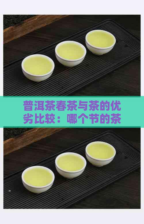 普洱茶春茶与茶的优劣比较：哪个节的茶叶更好？