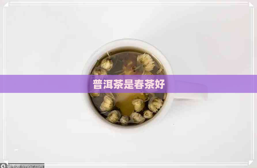 普洱茶是春茶好