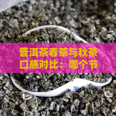 普洱茶春茶与秋茶口感对比：哪个节的茶叶更好喝？