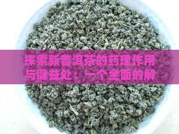 探索新普洱茶的药理作用与健益处：一个全面的解析