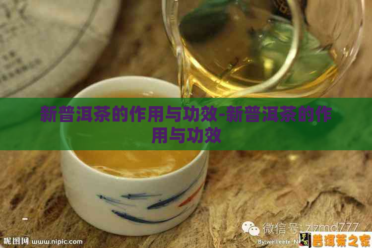 新普洱茶的作用与功效-新普洱茶的作用与功效